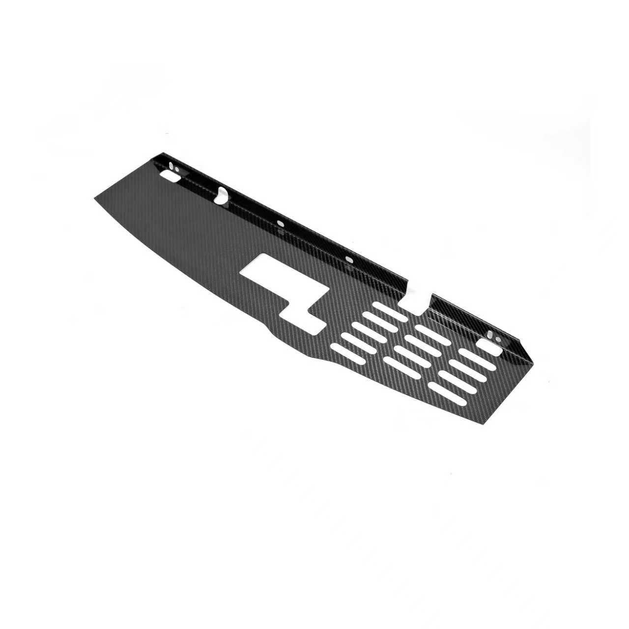 MUSE JAPAN Nissan Skyline BNR34 GTR DRY CARBON COOLING PANEL **PRE ORDER ONLY**